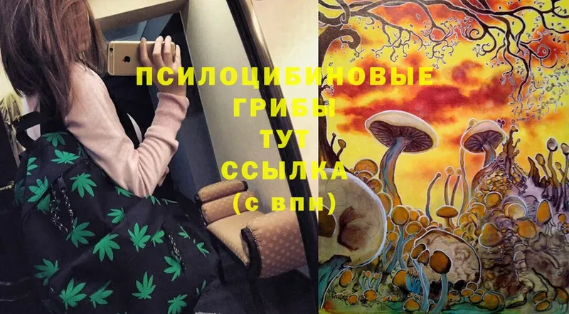 Галлюциногенные грибы Cubensis  что такое наркотик  Барыш 